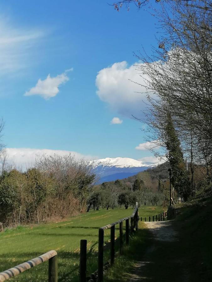 Garda Best Living Apartman Desenzano del Garda Kültér fotó
